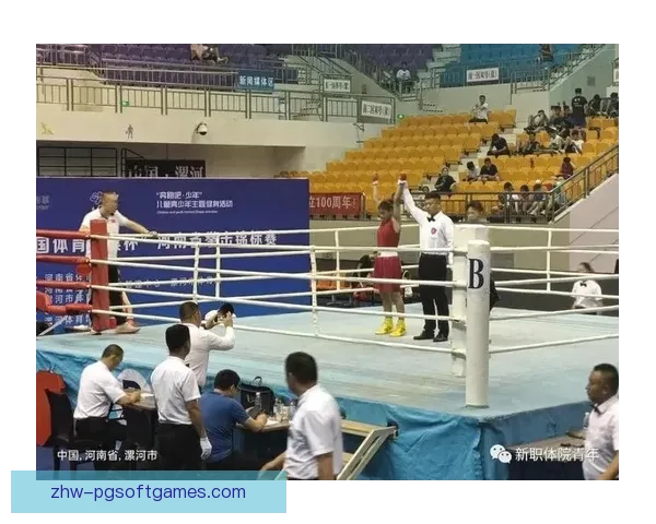 拳击巅峰对决：激烈比拼，争夺终极冠军！