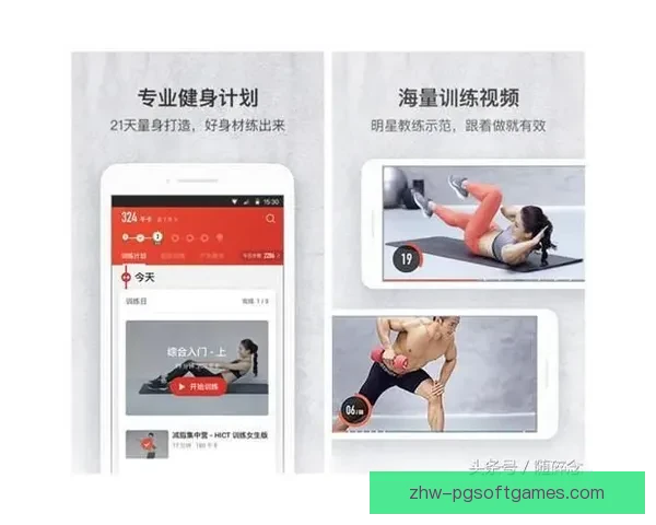 全面提升身体素质，定制专业健身计划