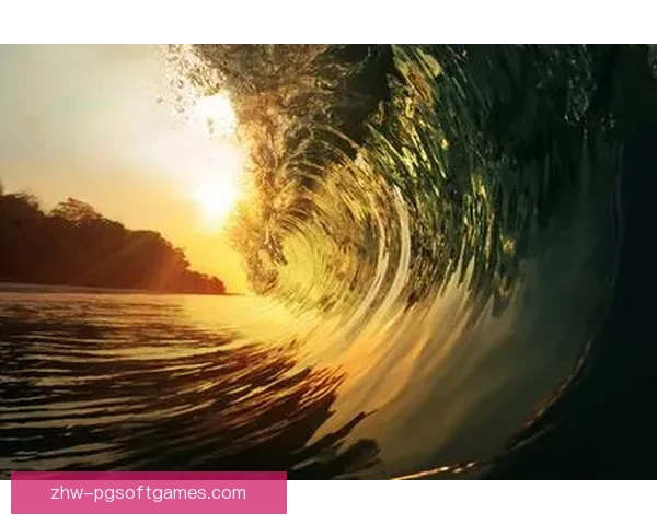 冲浪数据分析：探究浪潮背后的信息海洋